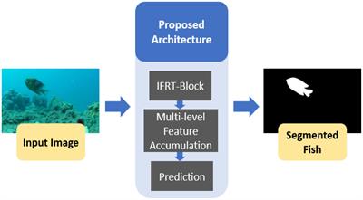 Robust segmentation of underwater fish based on multi-level feature accumulation